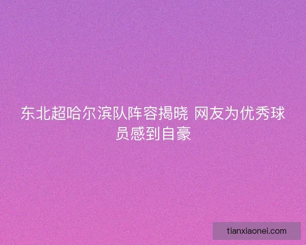 东北超哈尔滨队阵容揭晓 网友为优秀球员感到自豪